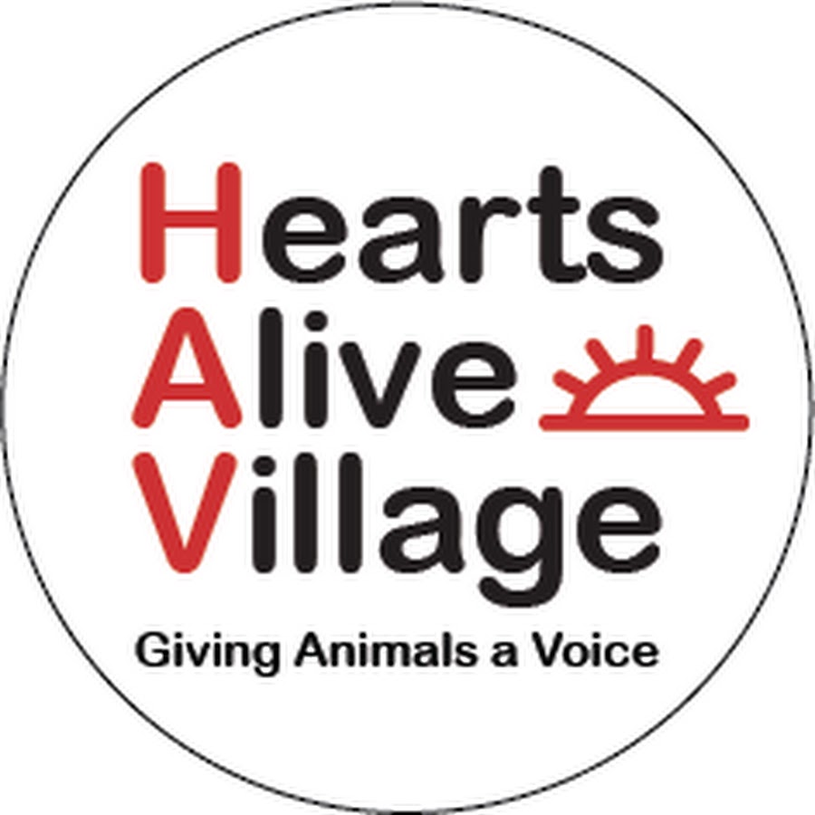Hearts Alive Village